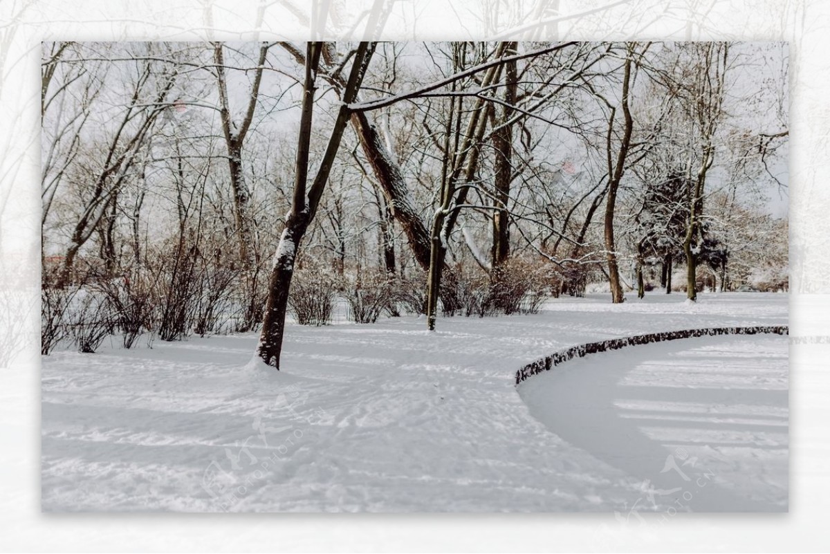 雪后的公园摄影