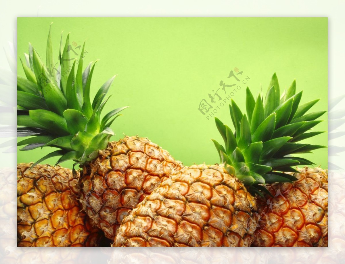 新鲜青菠萝图片高清原图下载,新鲜青菠萝图片,高清图片,壁纸 - 天下桌面