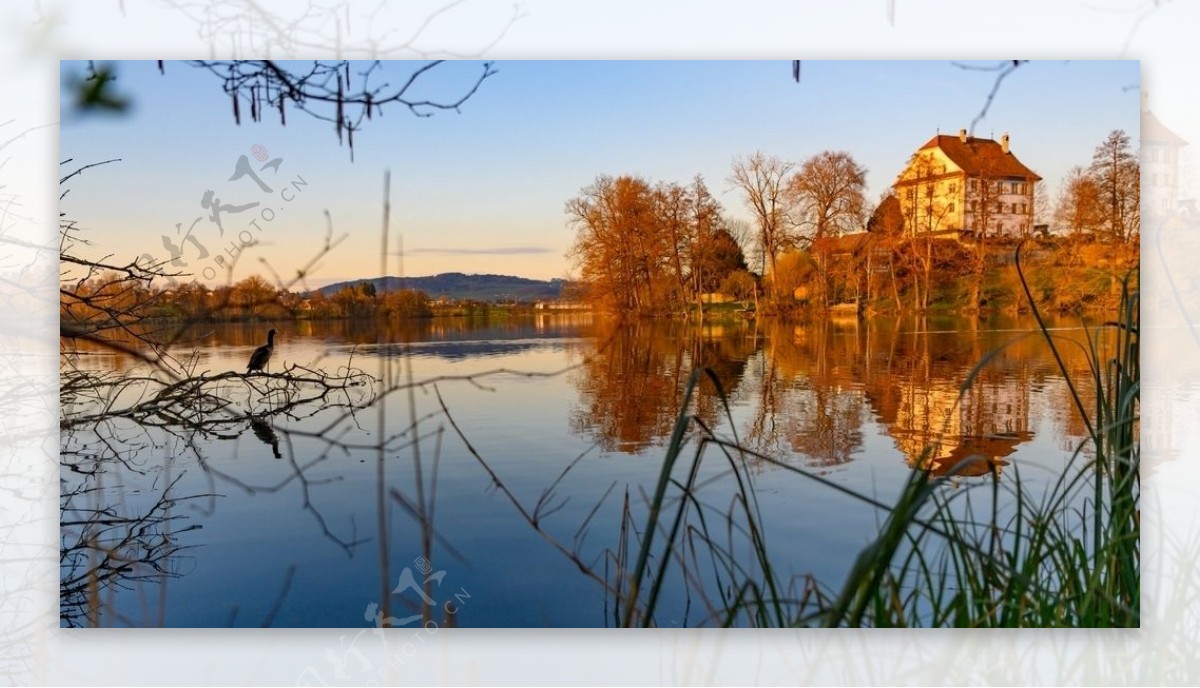 城堡瑞士湖镜像鸬鹚
