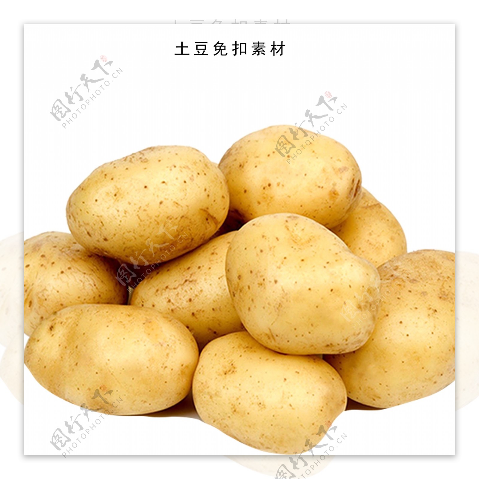 土豆素材农产品