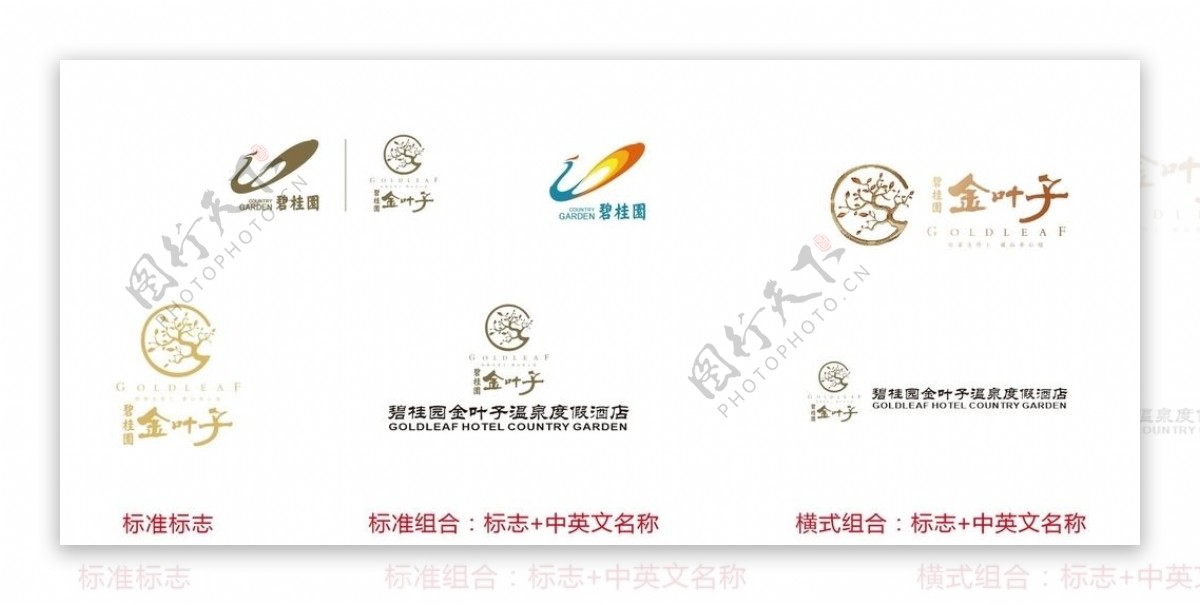 碧桂园金叶子logo