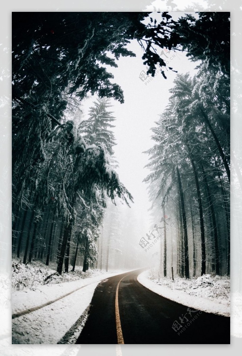雪天森林公路