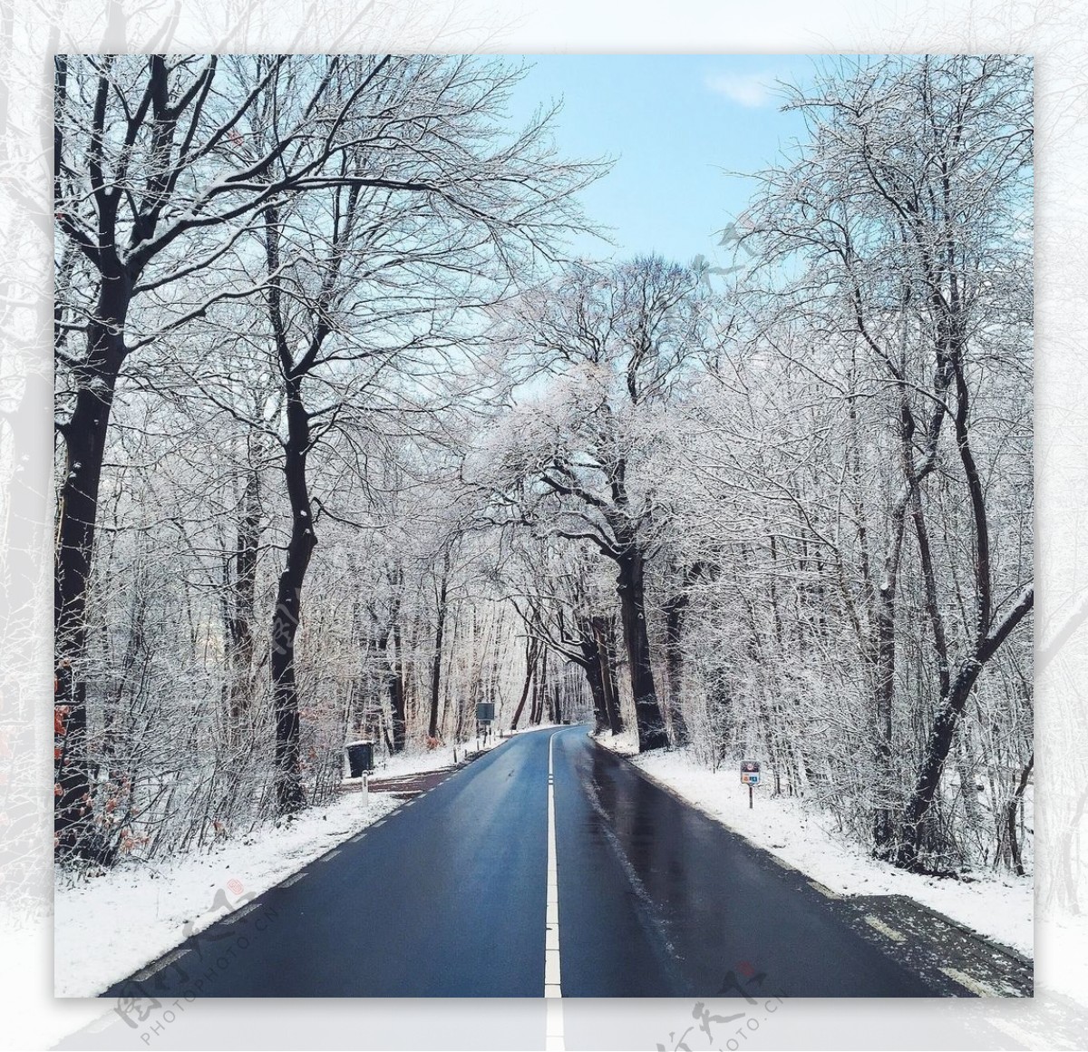 雪景