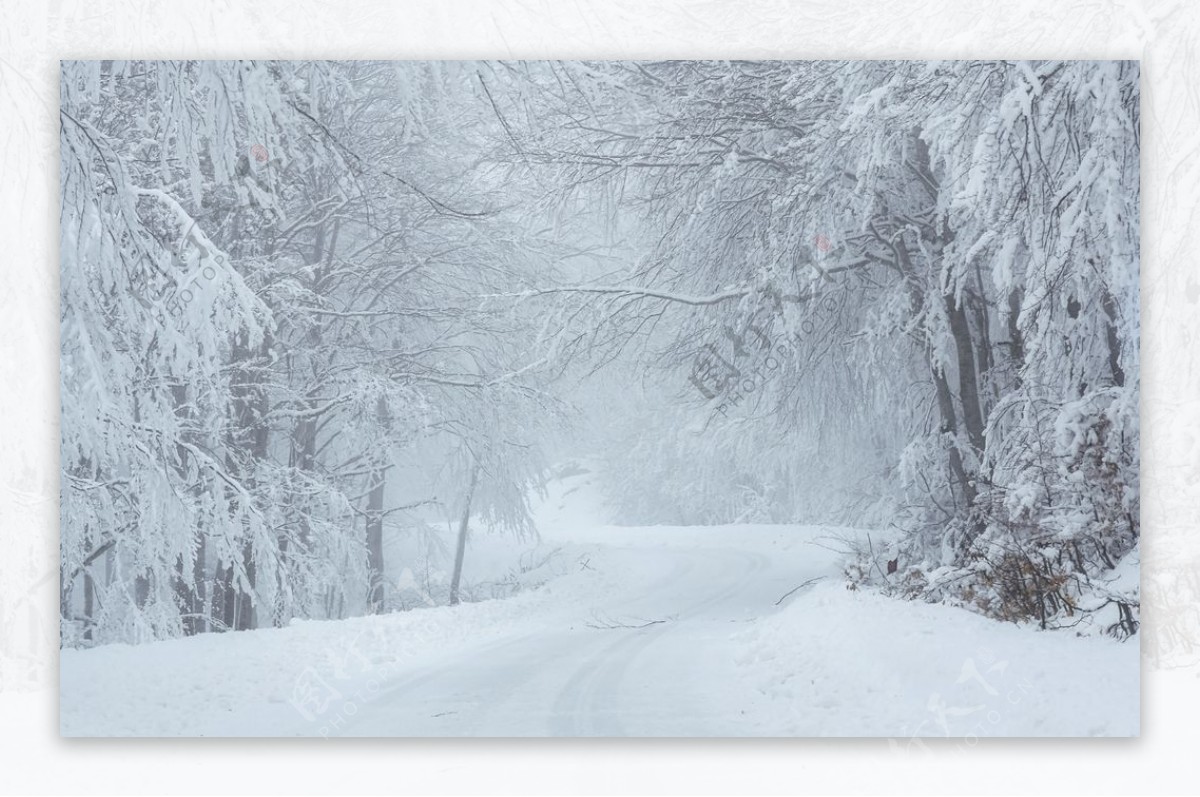 大雪公路白色冬天