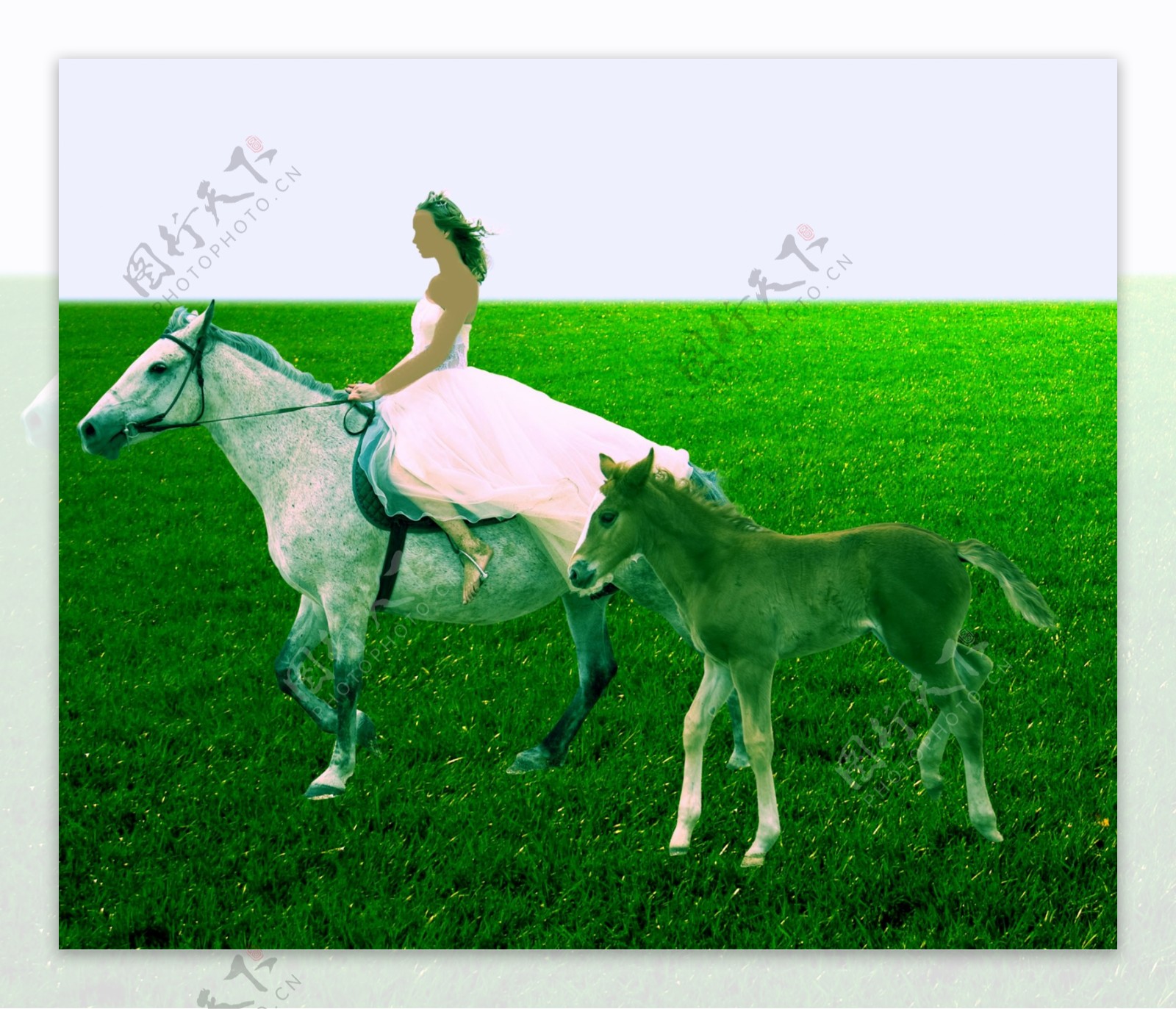 草原美女骑马