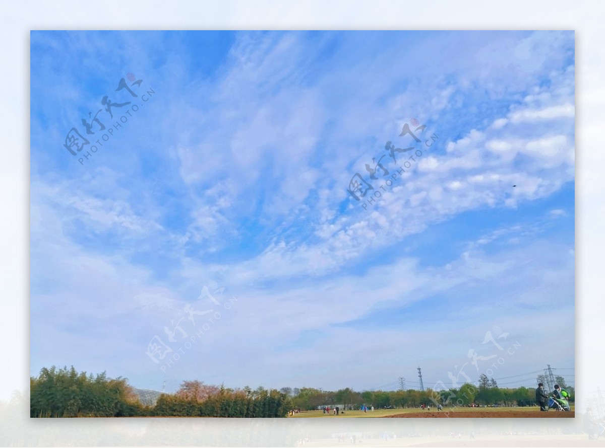 辰山植物园的蓝天白云