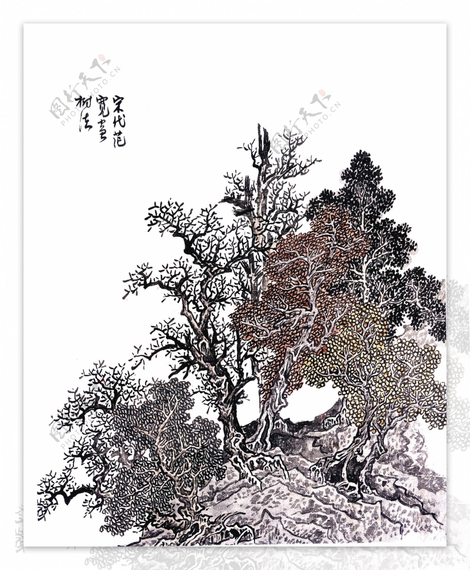 中国花鸟画-工笔白描|纯艺术|国画|灰太郎o_O - 原创作品 - 站酷 (ZCOOL)