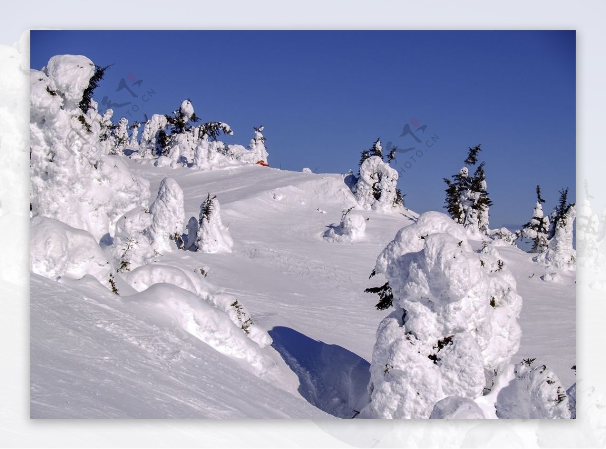 雪景