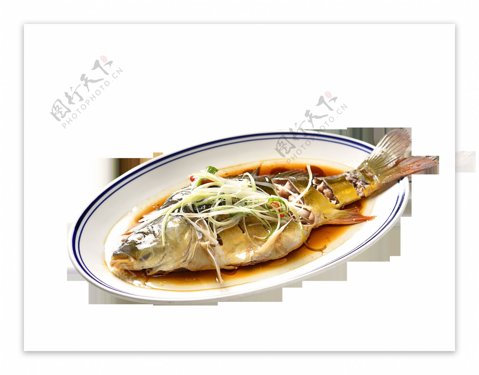 红烧鱼鲤鱼蒸鱼菜单食谱素材