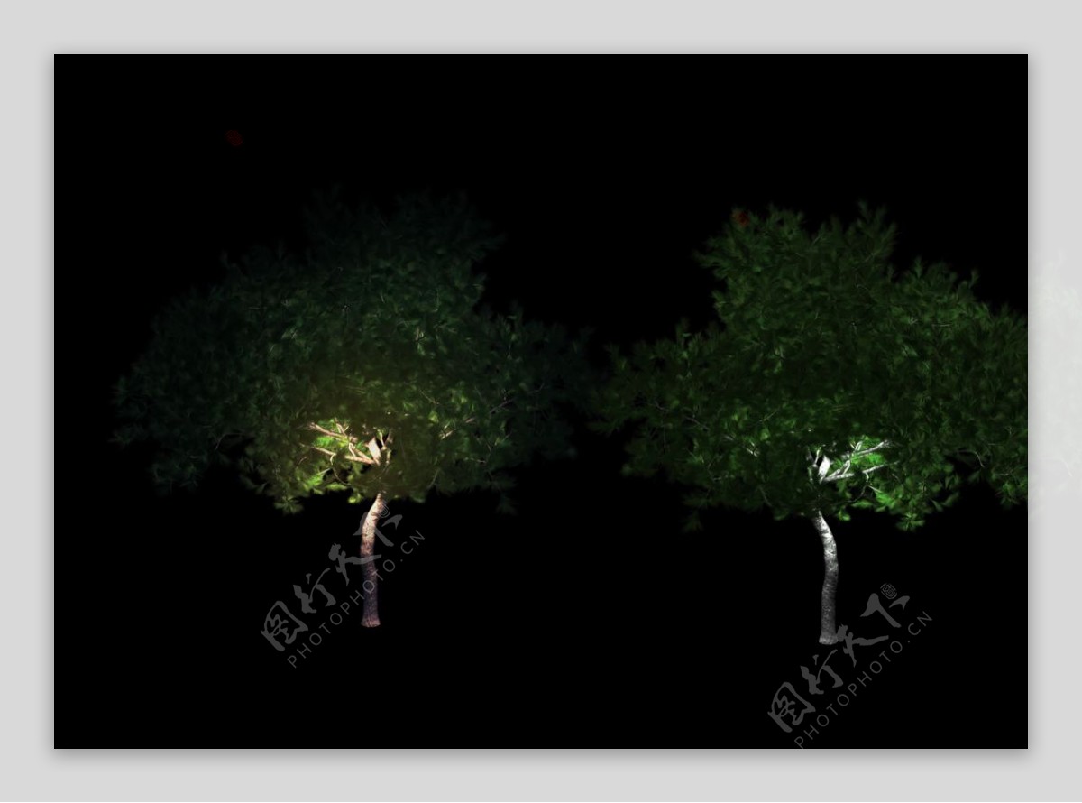 夜景树照明设计素材