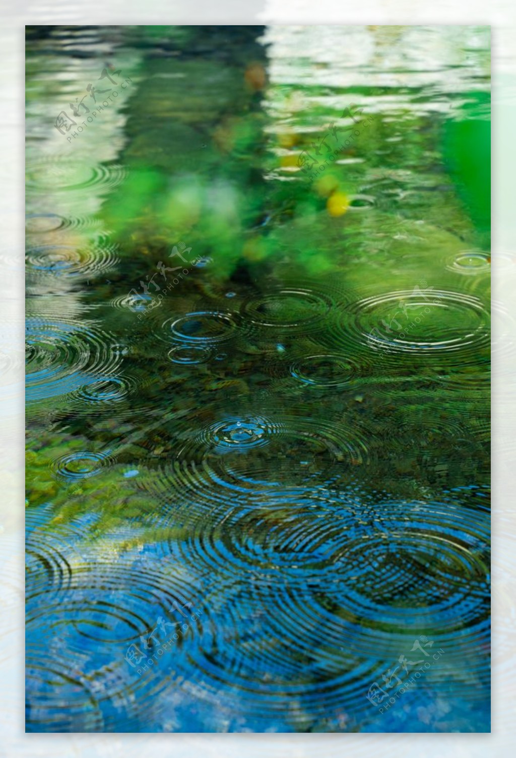 池塘水滴水韵夏季绿色清新背景