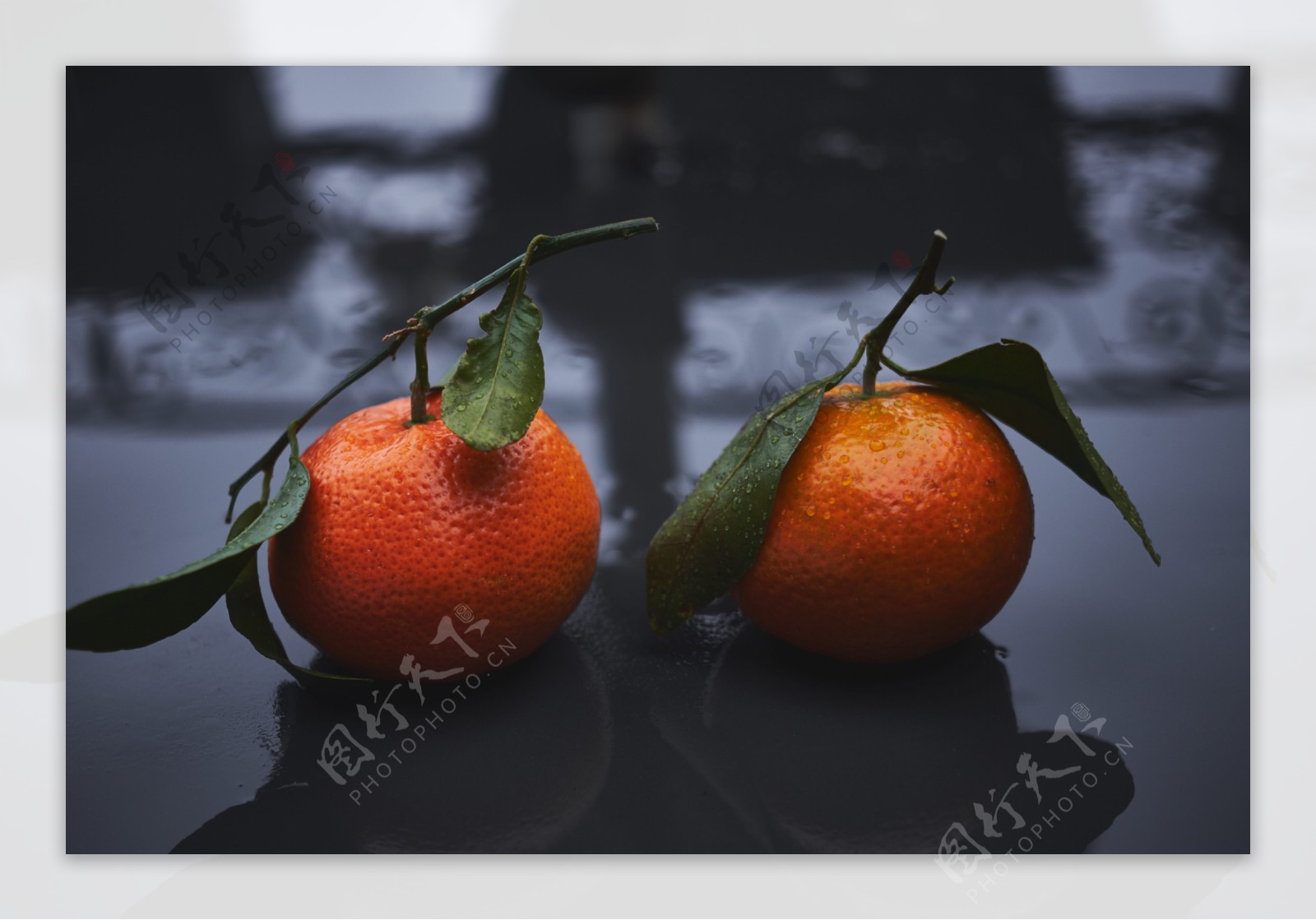 橘子柑橘橙子桔子