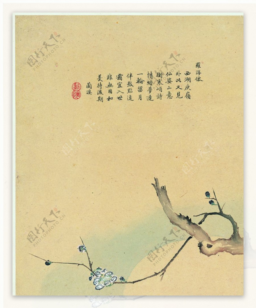 中国风花鸟工笔画