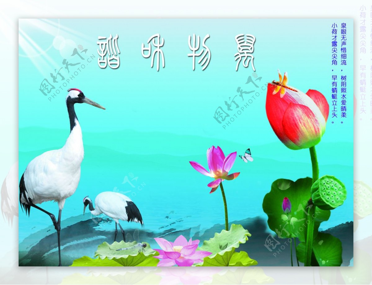 中国古韵海报