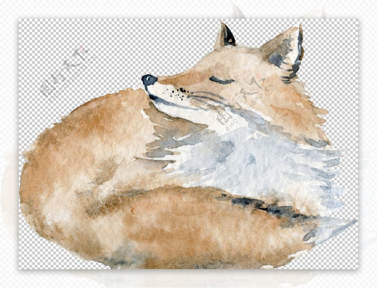 水彩小狐狸绘画