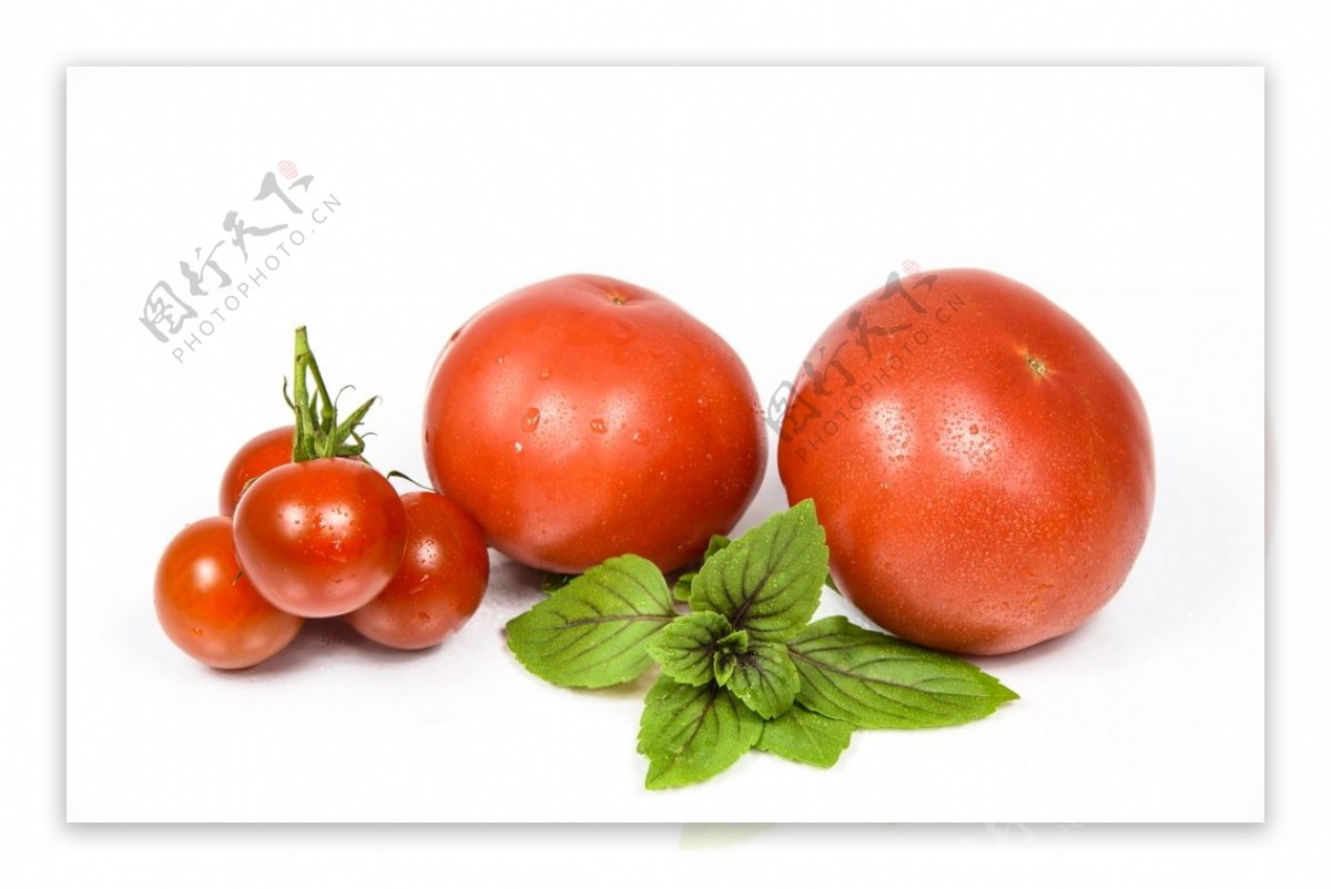 番茄西红柿圣女果