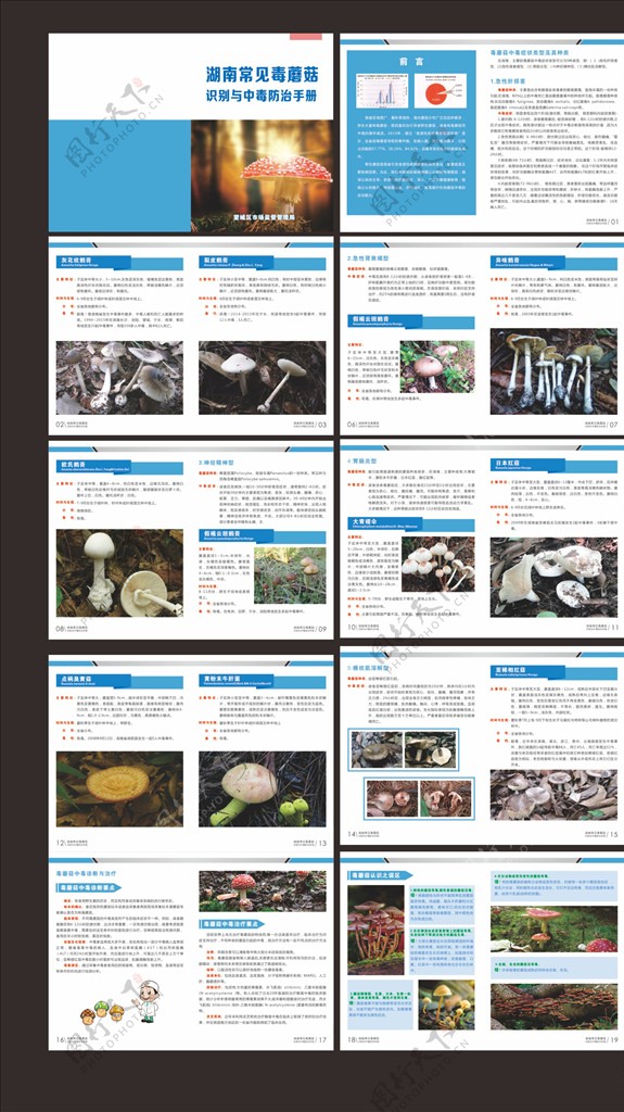 毒蘑菇识别手册