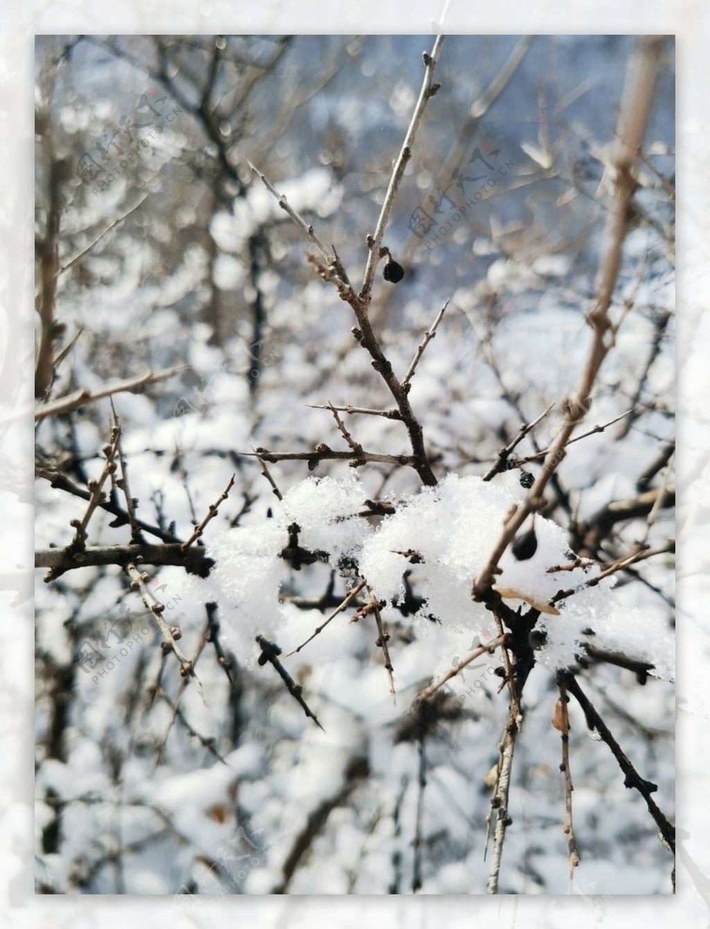 雪景