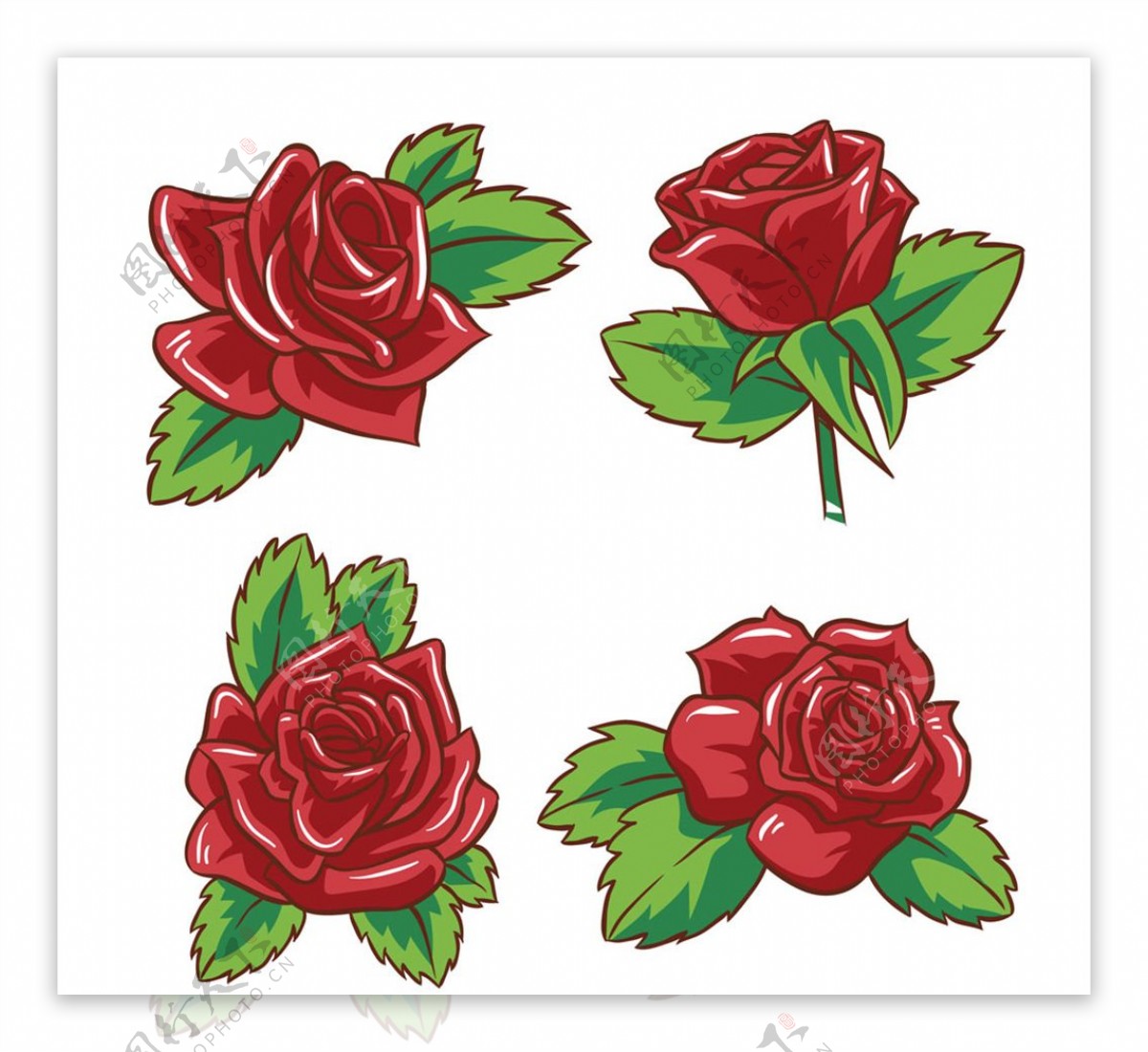 美丽红玫瑰花矢量素材