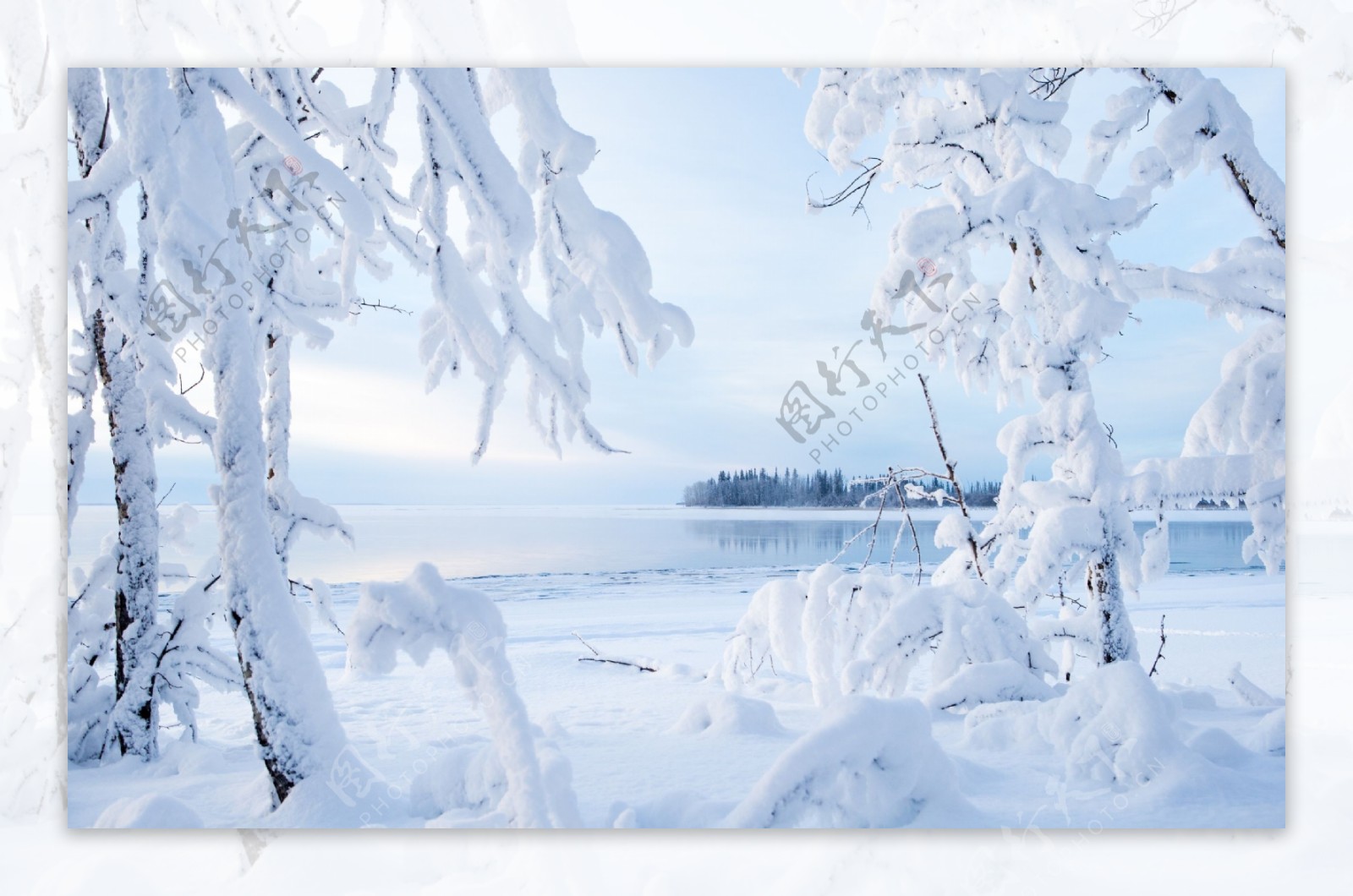 雪景