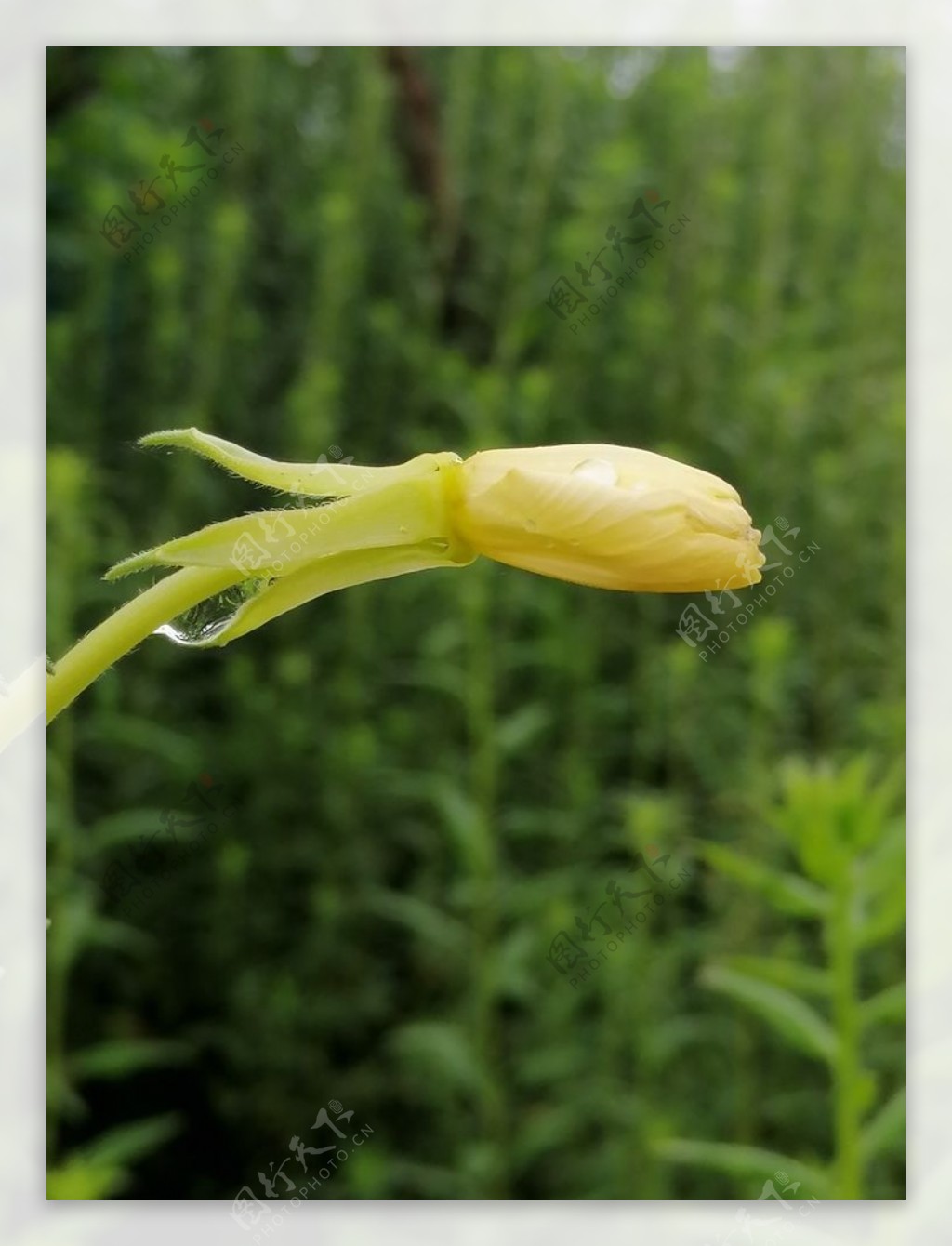 雨后