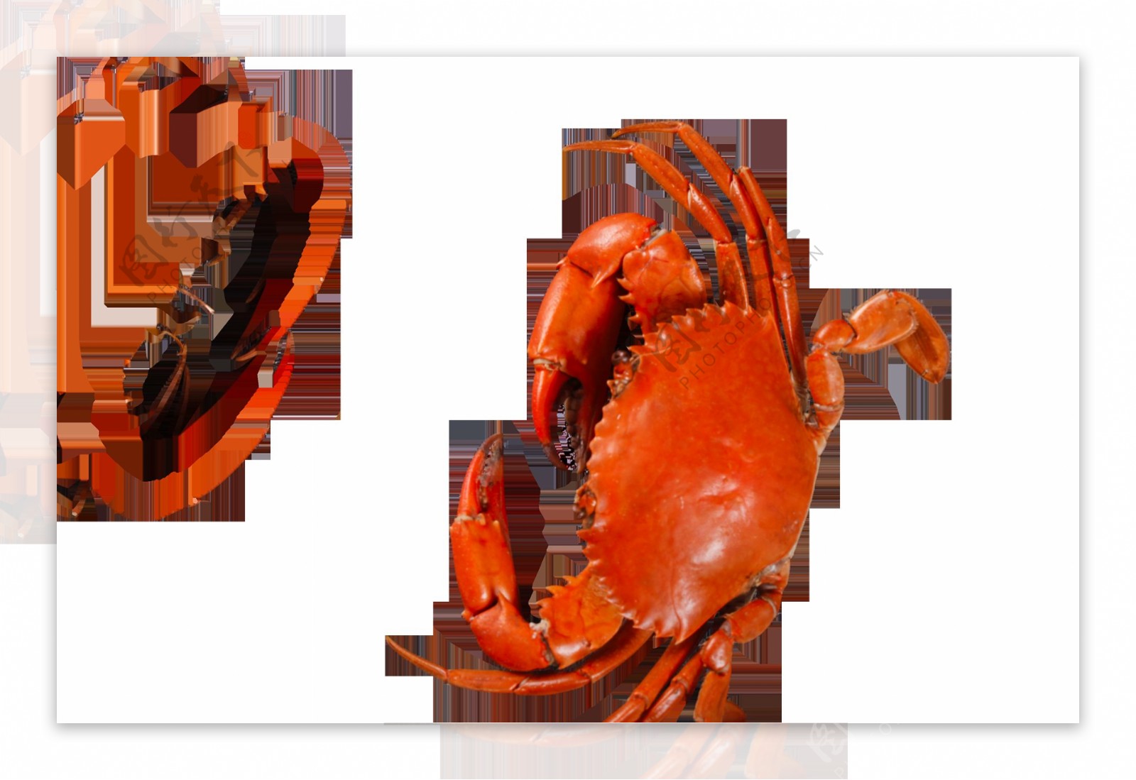 螃蟹红壳烹饪食材海报素材