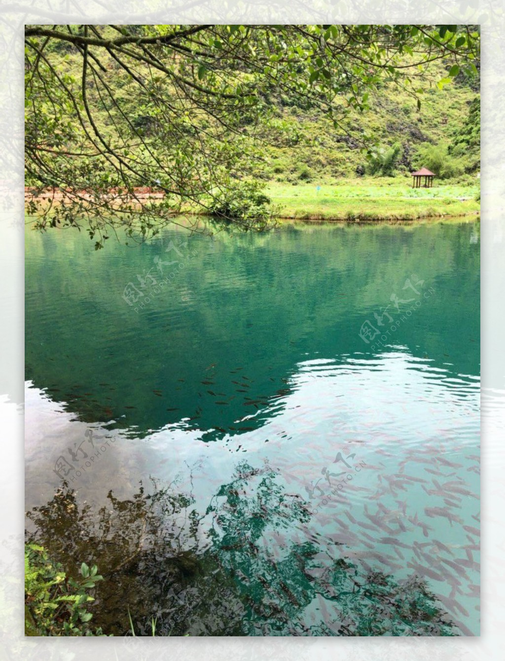 山水风光绿水青山风景