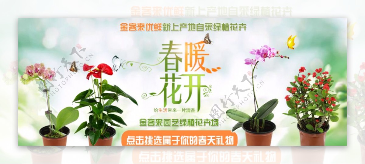 超市绿植花卉宣传海报