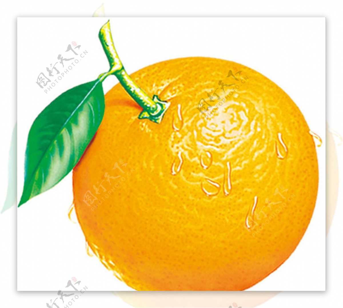 橙子水果设计素材食品