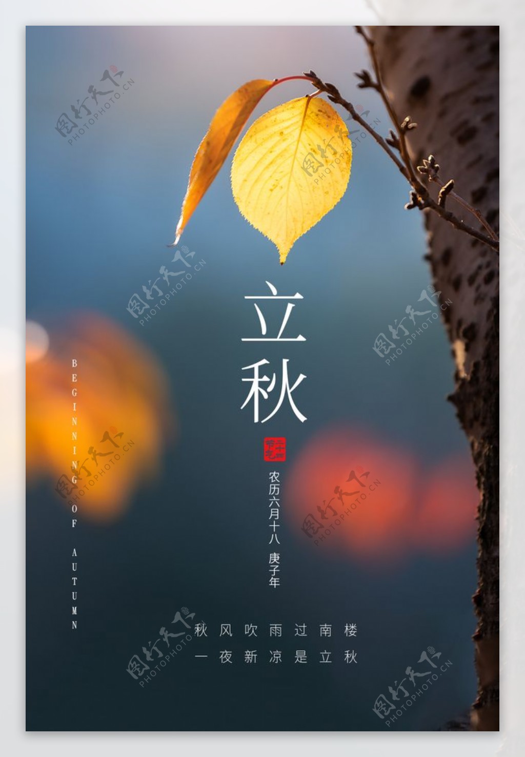 立秋传统节日宣传活动海报素材