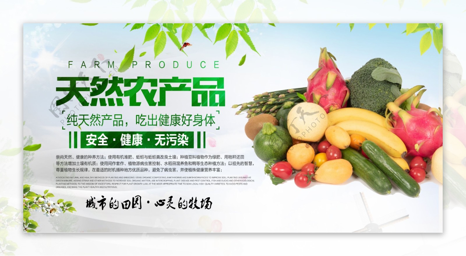 水果农产品宣传活动展板素材