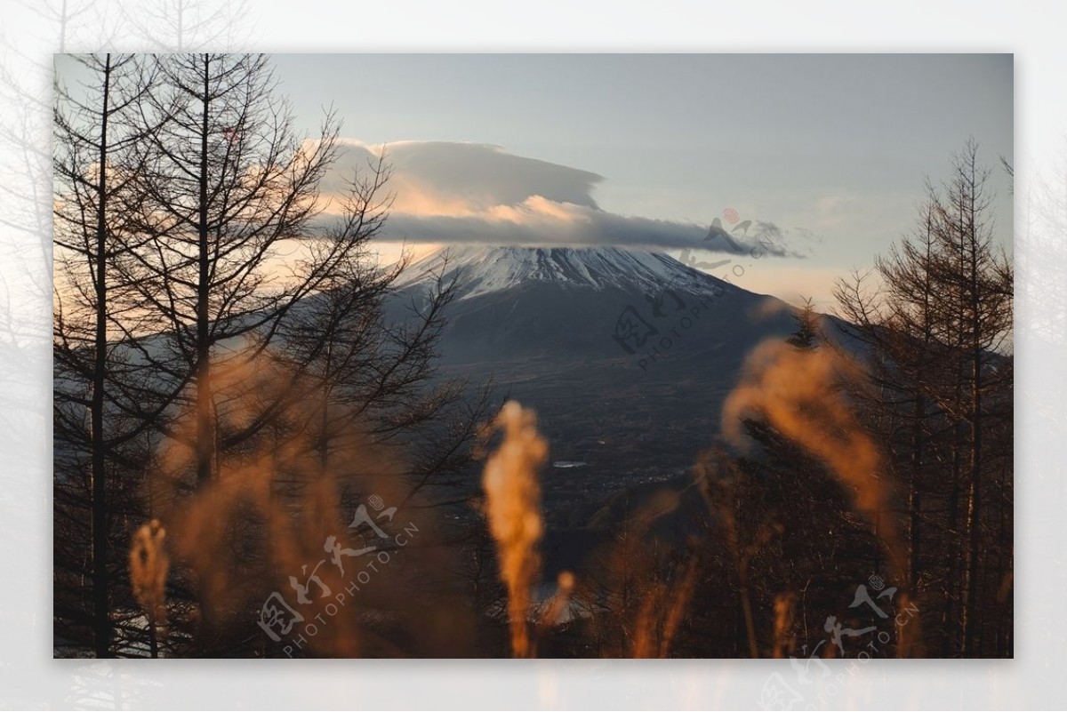 富士山