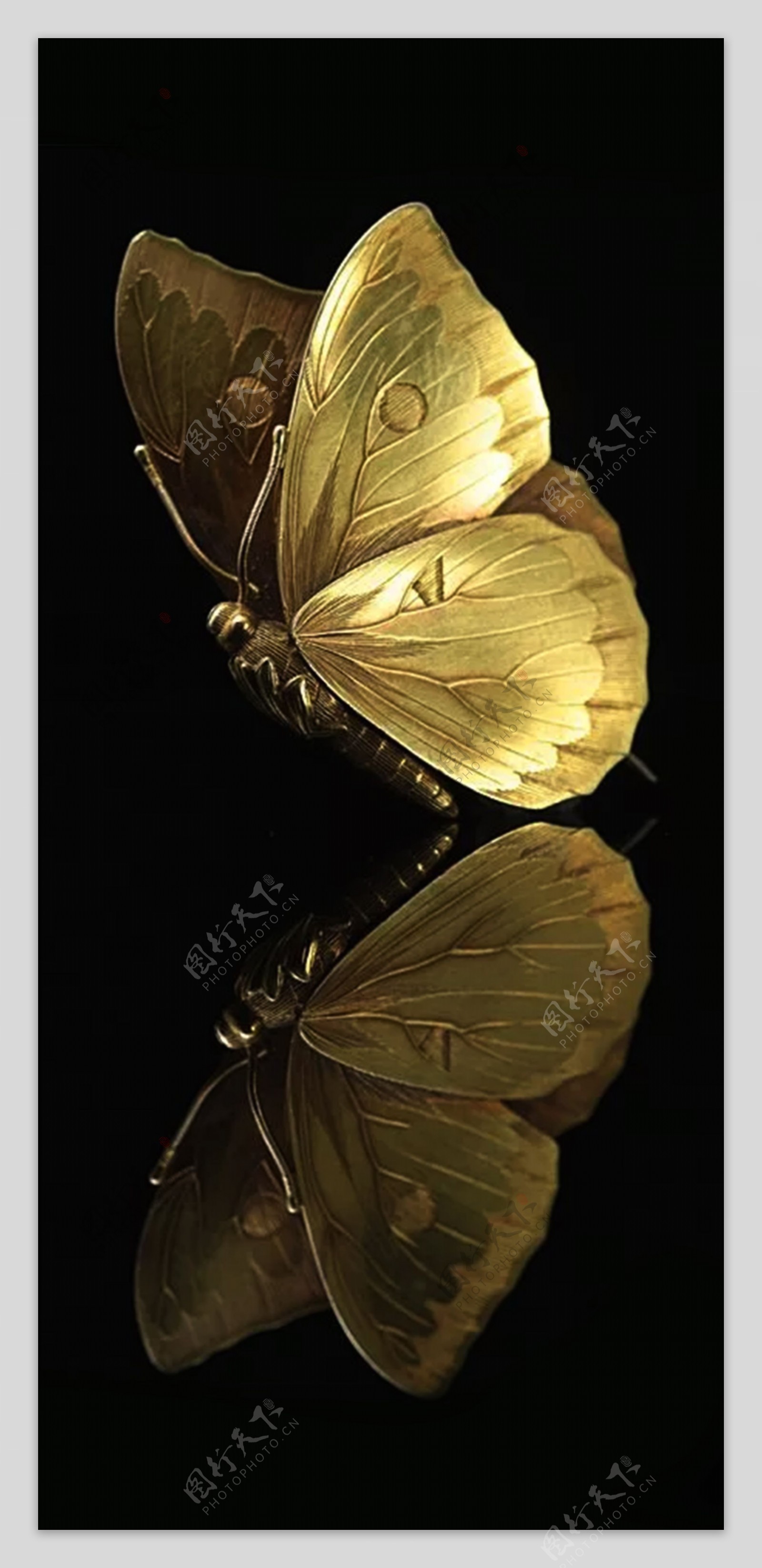 黄金金属质感纹理金蝴蝶