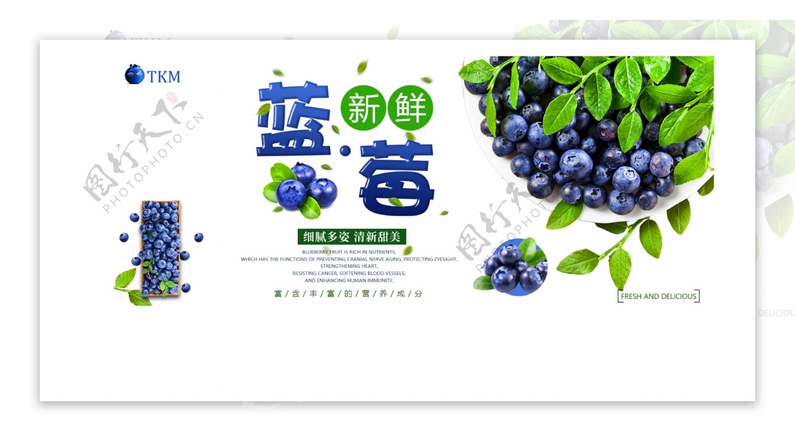 蓝莓banner