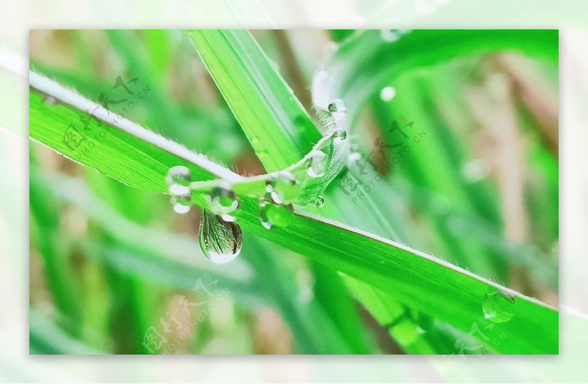 雨滴