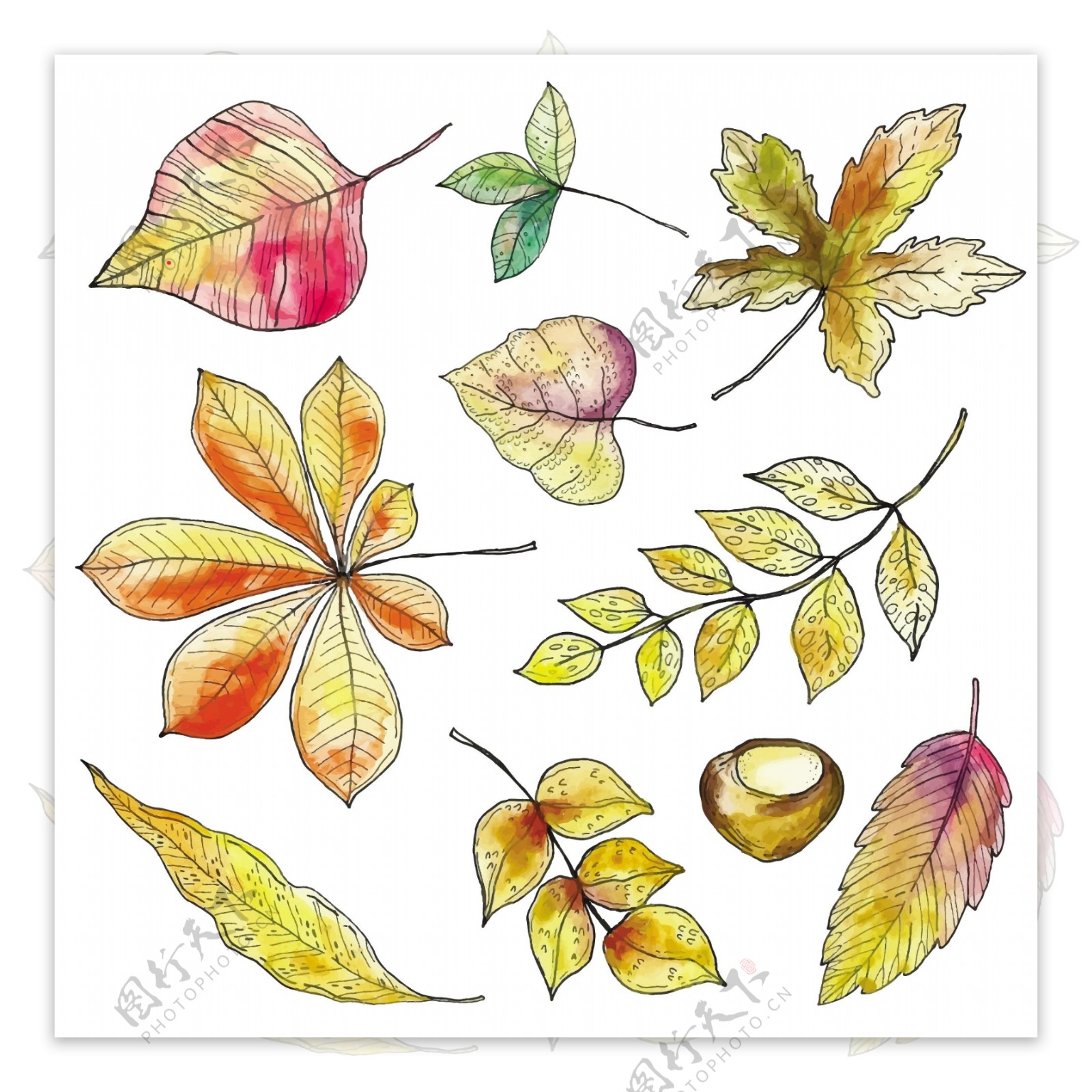 水彩创意秋天树叶