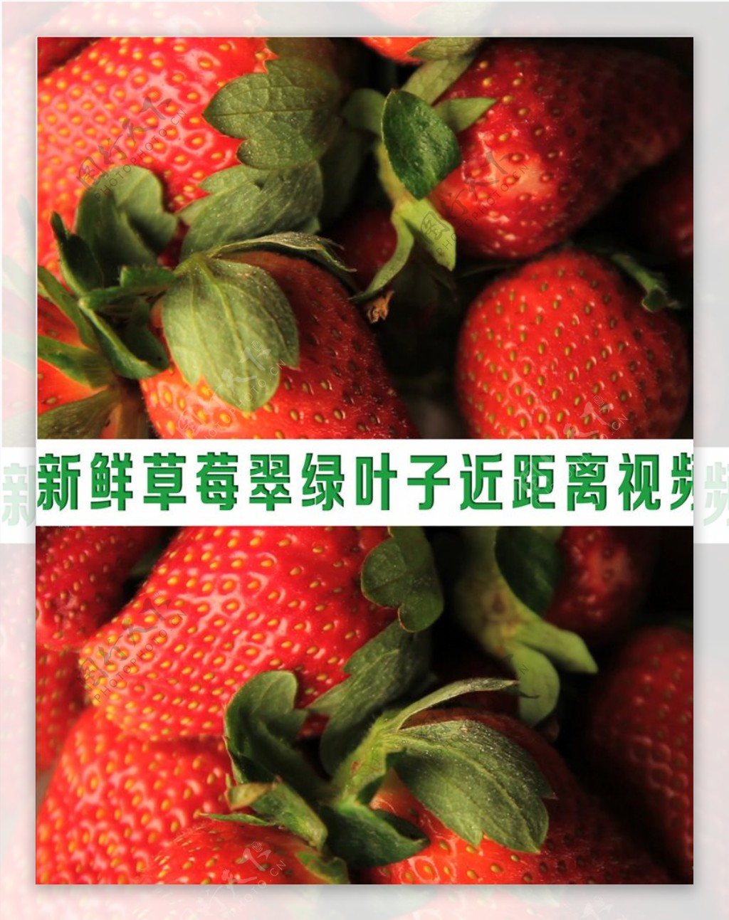 新鲜饱满草莓翠绿叶子水果视频