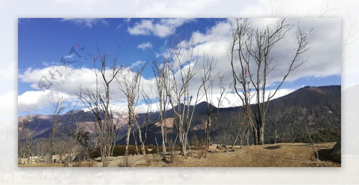 蓝天白云高山树木风景图片