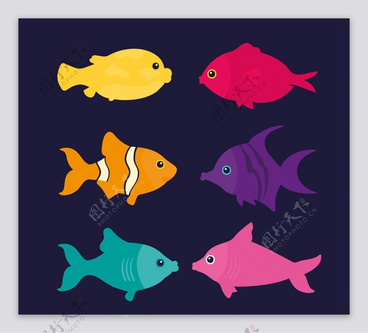 彩色鱼类设计图片