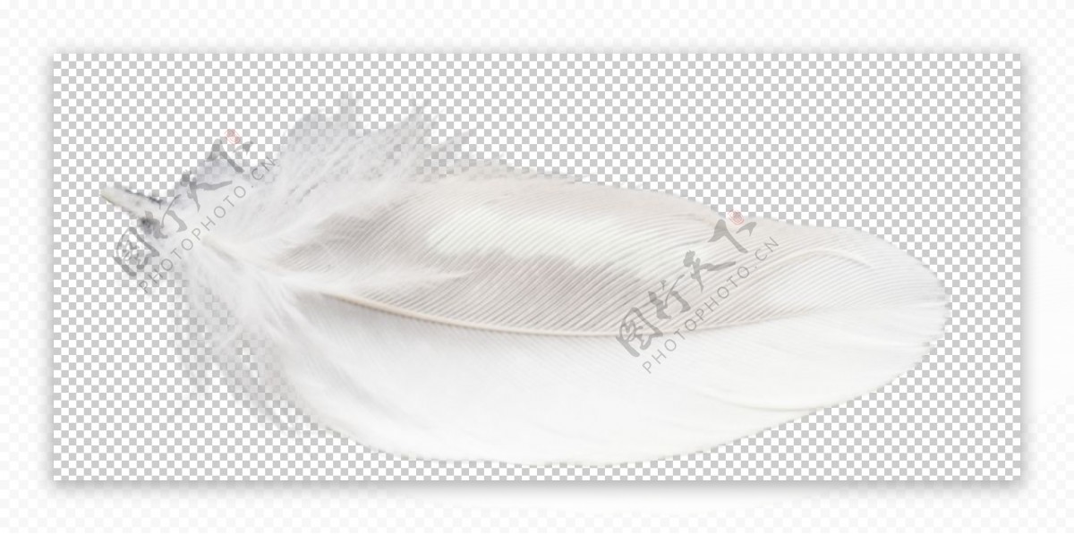 白色羽毛漂浮素材图片