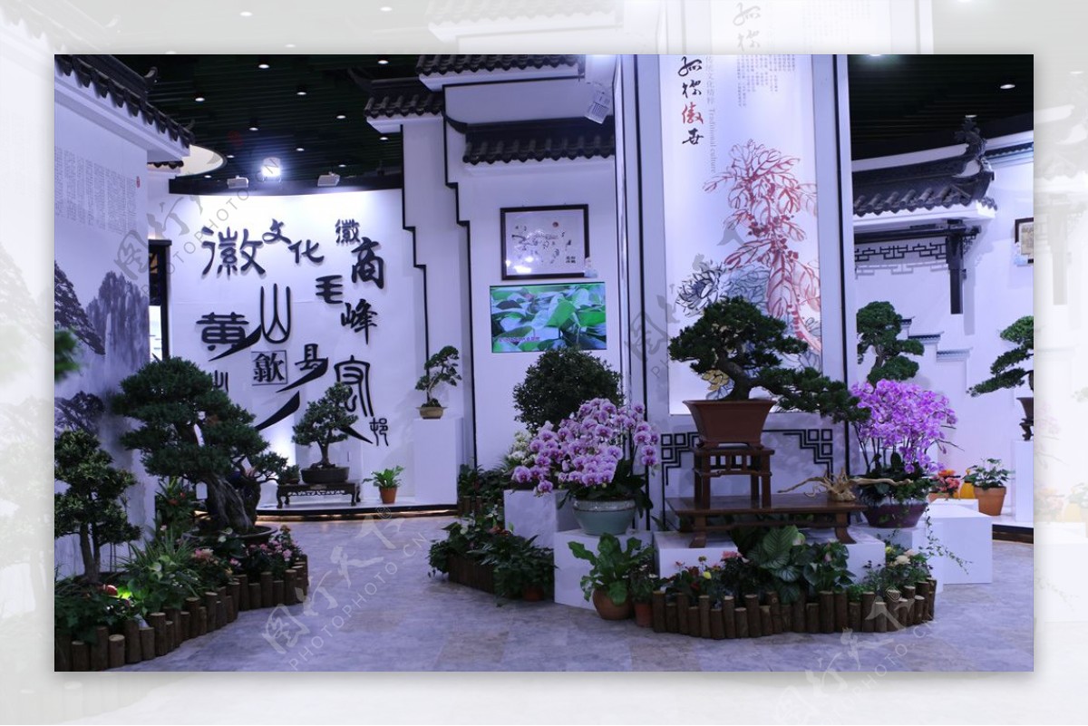 2019北京世界园艺博览会图片