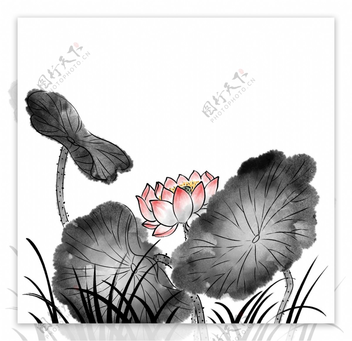 欧式花纹花边数码印花面料图片