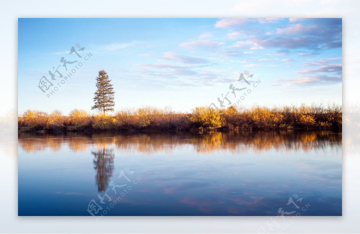 秋季河边树木倒影图片