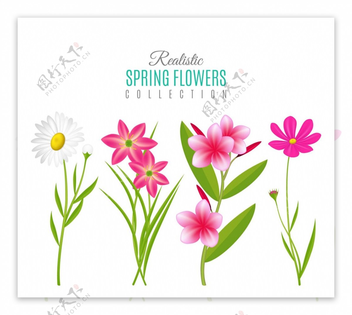 春季花卉矢量图片