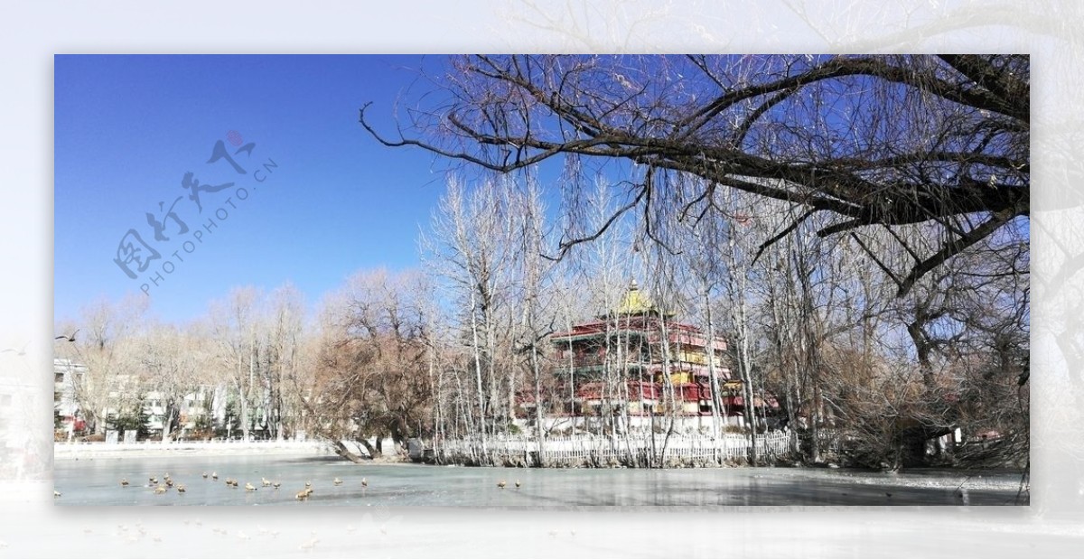 古树湖泊古建筑冬天风景图片