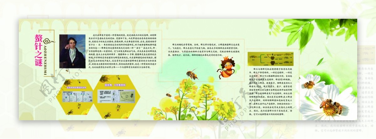 蜜蜂文化展厅墙面图片