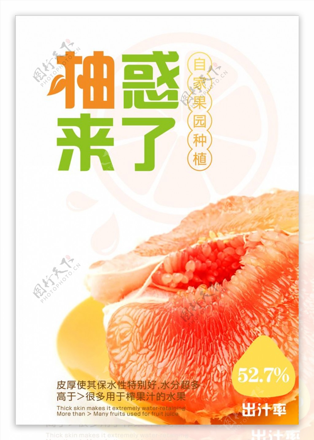 江西红肉柚图片