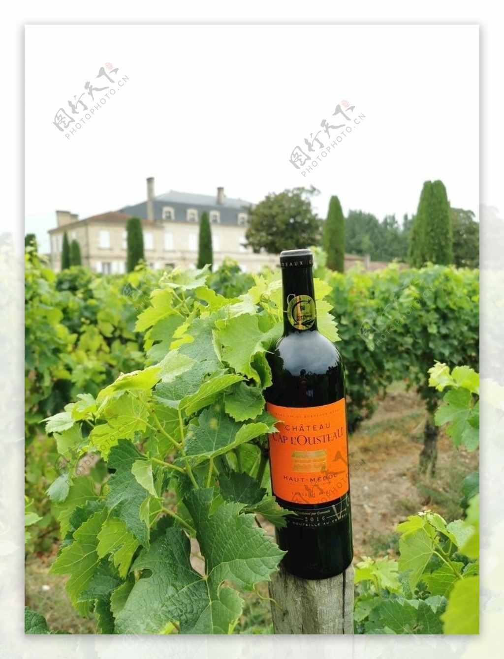 法国康曼笛葡萄酒图片