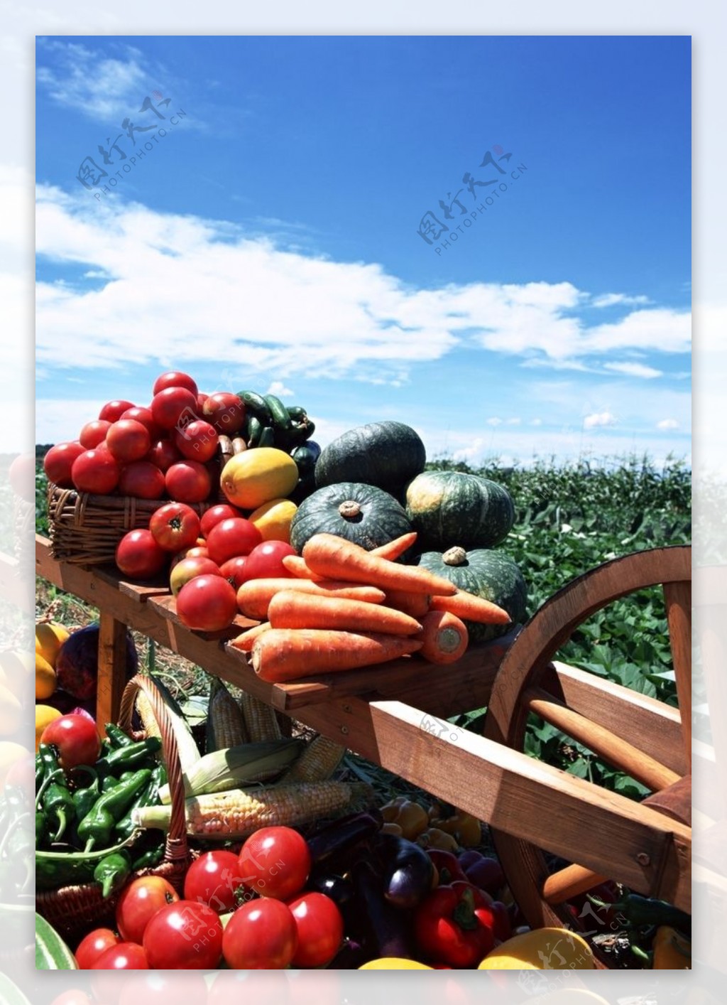 蔬菜插画图片素材_免费下载_psd图片格式_VRF高清图片400081908_摄图网