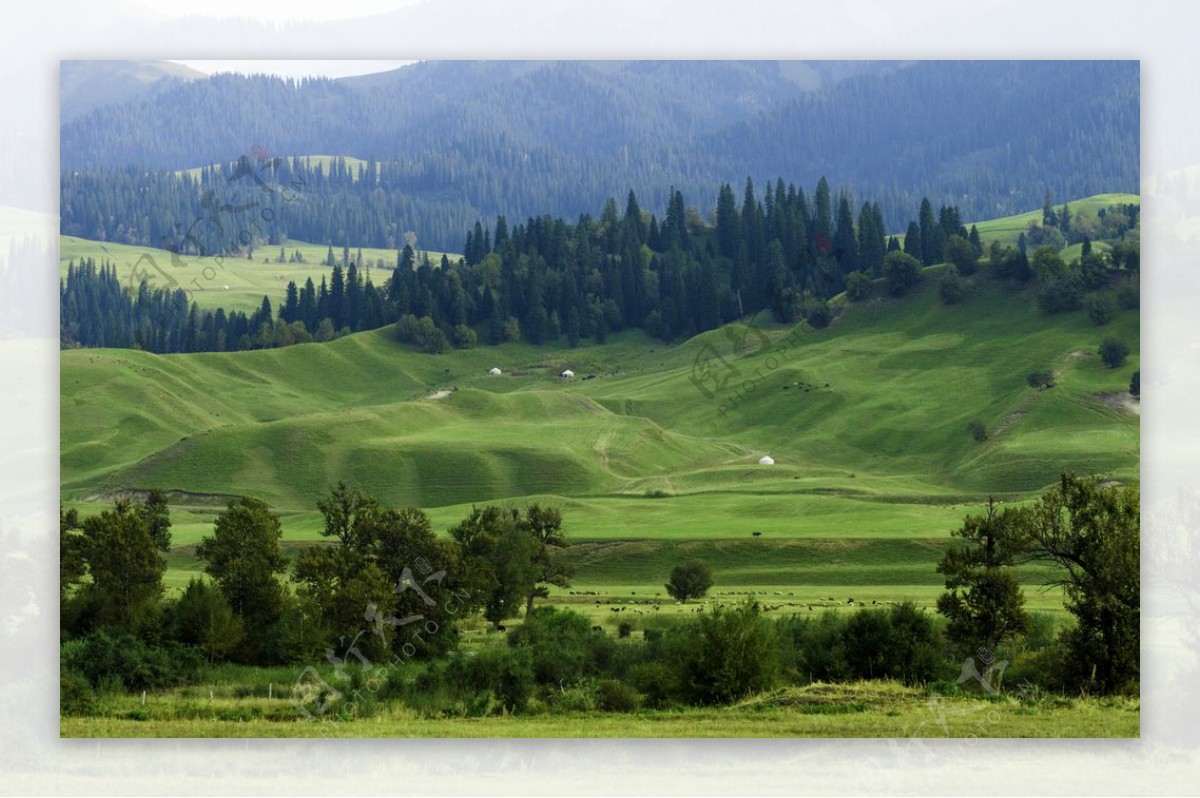 新疆那拉提草原美景图片